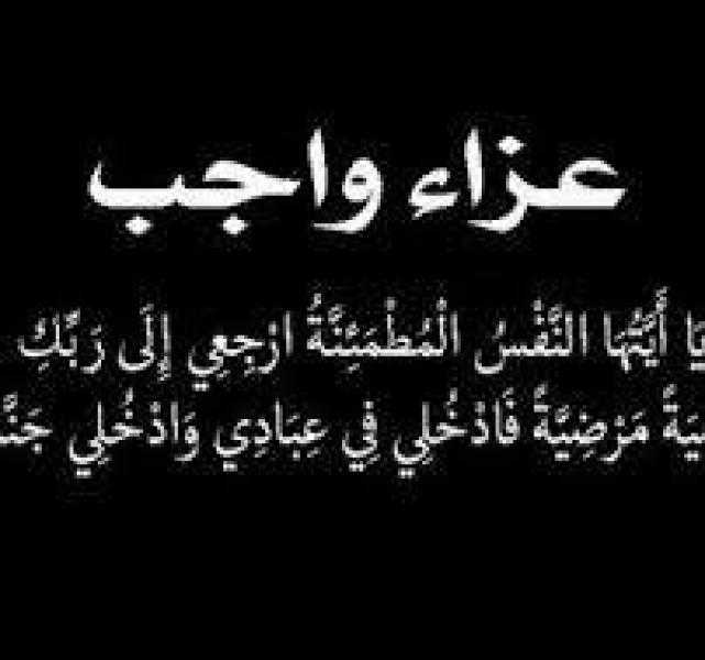 الجالية المصرية بألمانيا تنعى وفاة المستشار سامح الديب